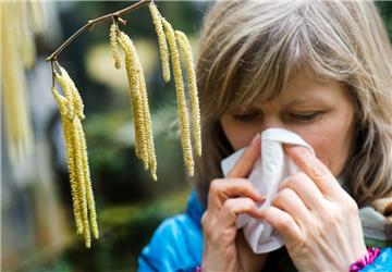 Wenn die Temperaturen milde sind, dann beginnt für Pollenallergiker die Leidenszeit. 