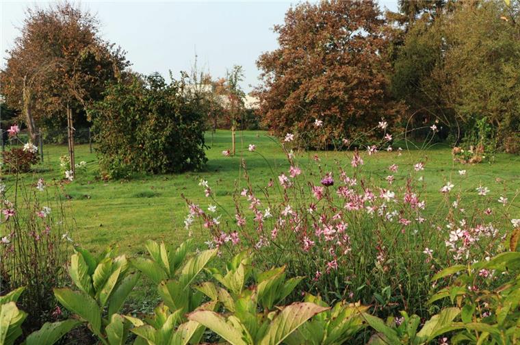 Wenn sich die Blätter verfärben und die Blütezeit vieler Pflanzen zu Ende geht, dann heißt es für den Hobbygärtner noch einmal Anlauf nehmen für den Endspurt. Denn im Garten gibt es noch viel zu tun. Beete, Rasen und Gehölze müssen sorgsam auf den Winter vorbereitet werden, damit sie gut ins nächste Jahr kommen.  