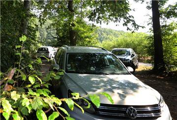 Pkw parken am Waldrand