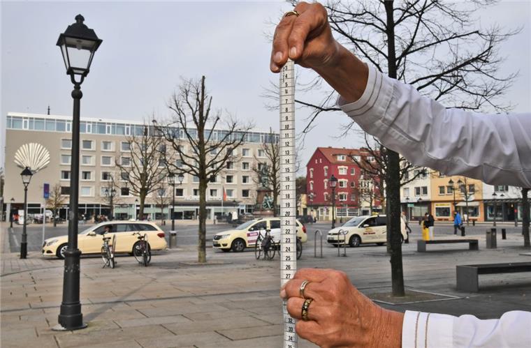 Wer an die Linden auf dem Theodor-Heuss-Platz Maß anlegt, kommt auf maximal acht Meter. Eigentlich müssten die Bäume schon doppelt so hoch sein.