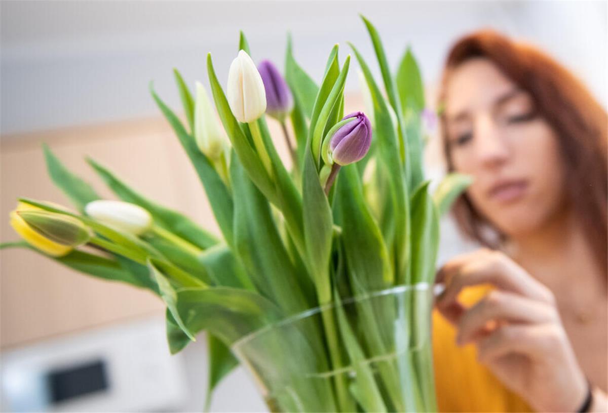 Die ersten Tulpen: So halten sich die Frühblüher lange in der Vase Eine Frau betrachtet einen Tulpenstrauß.