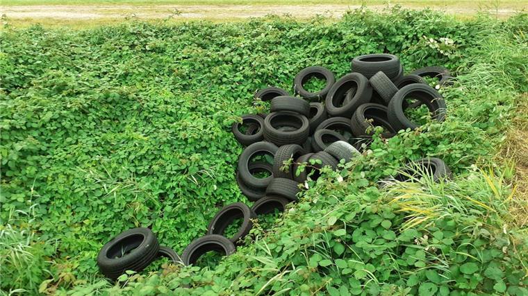 Luneplate: Unbekannte kippen Autoreifen in die Natur Wer hat diese alten Autoreifen auf der Luneplate in Bremerhaven entsorgt?