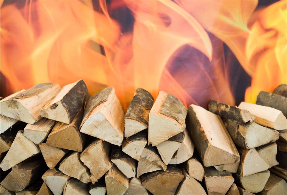 Feuerholz für Ofen und Kamin Wer Holz für seinen Kamin braucht, kann bei der Sieverner Forstinteressentenschaft einen Termin für ein Treffen im Wald vereinbaren.