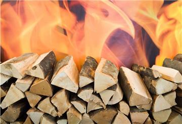 Wer Holz für seinen Kamin braucht, kann bei der Sieverner Forstinteressentenschaft einen Termin für ein Treffen im Wald vereinbaren. 