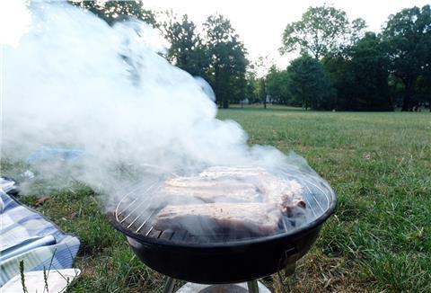 Wer in den Bremerhavener Parks grillen möchte, muss einige Regeln beachten.