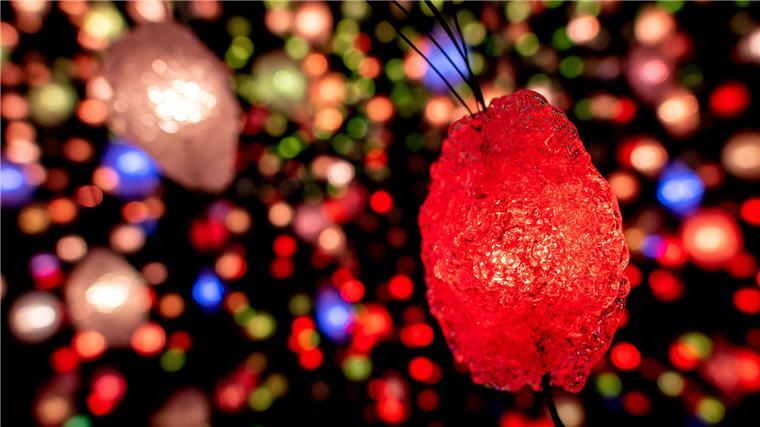 Wer in die Welt von Pipilotti Rist eintaucht, wandert durch ein Bild, dessen Farben sich ständig verändern. Aus Rot wird Blau, aus Weiß Gelb, grünes geht in violettes Licht über.