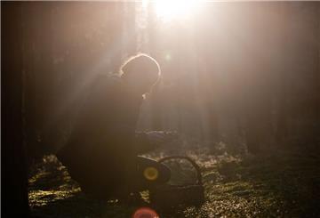 Eine Frau sitzt im Wald und sucht Pilze. 