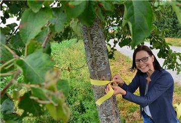 Wer Obst vor dem Verfaulen rettet, bekommt einen anderen Bezug zu heimischen Lebensmitteln, sagt Sonja Thomas von der Stadt Geestland.Stadt Geestland