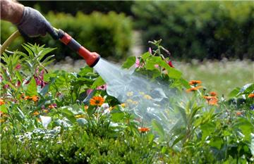Wer seinen Garten in den trockenen Wochen mit Leitungswasser wässert, sollte daran denken, dies so sparsam wie möglich zu tun. Darum bittet der Wasserverband Bremervörde, damit der Druck in den Leitungen nicht zu stark abfällt.