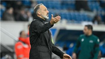 Wieder kein Sieg für TSG-Coach Pellegrino Matarazzo