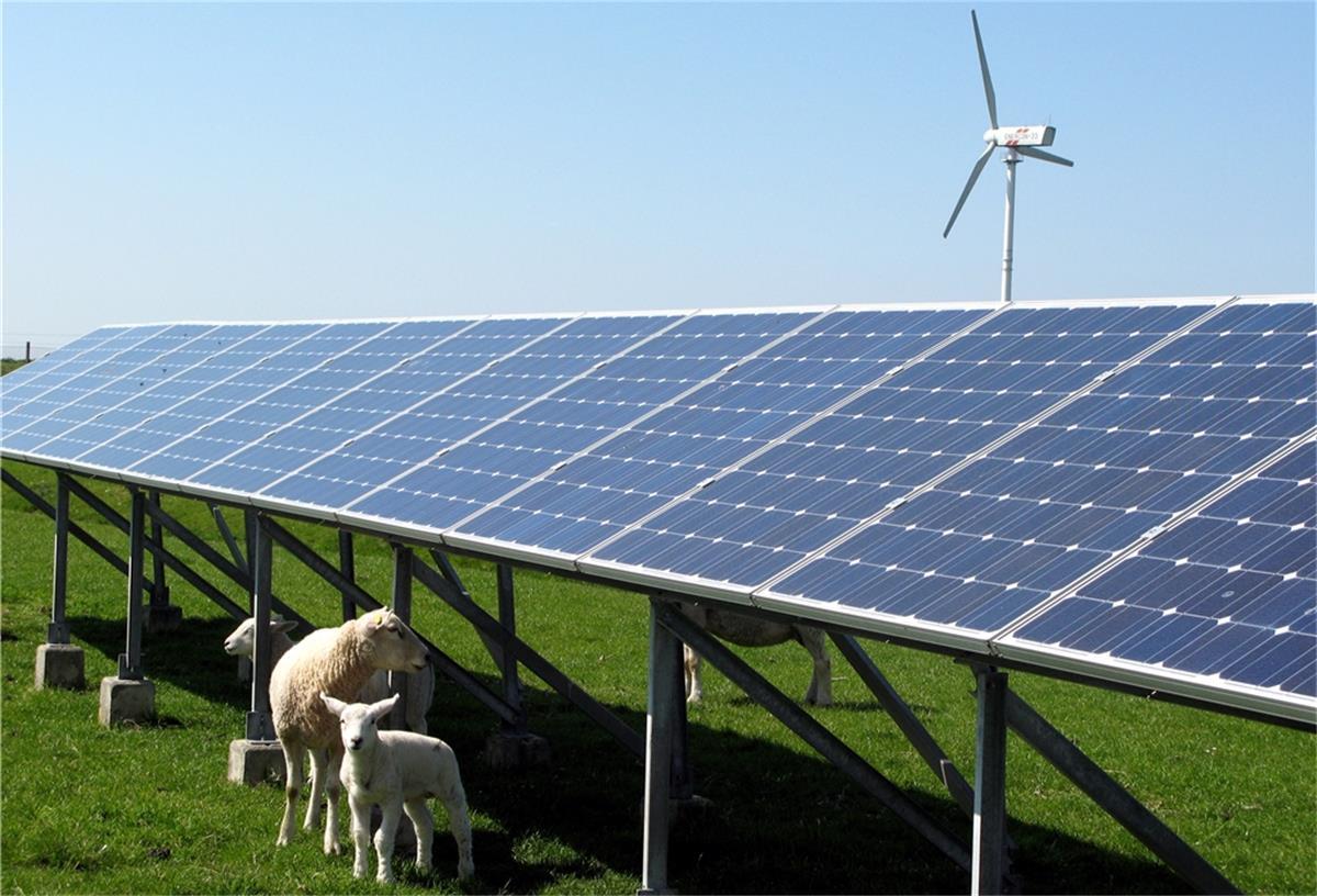 Projektidee: Auch Strom aus Sonne im Windpark Windanlagen und Photovoltaikanlage sollen sich ergänzen. Mit der Projektidee für den Windpark in Rodenkircherwurp stieß der Vorhabenträger bei den Stadlander Politikern auf gute Resonanz.