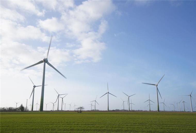 Windenergieanlagen stehen auf einem Feld.