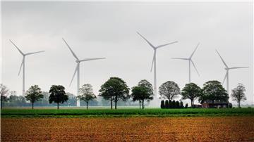 Windkraftanlagen hinter Feldern.