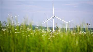 Windräder drehen sich auf einem Feld.