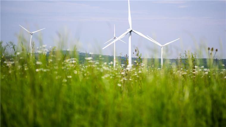 Windräder drehen sich auf einem Feld.