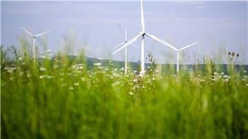 Windräder drehen sich auf einem Feld.