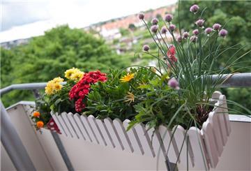 Ein Blumenkasten, der innen an einem Balkon befestigt ist. 
