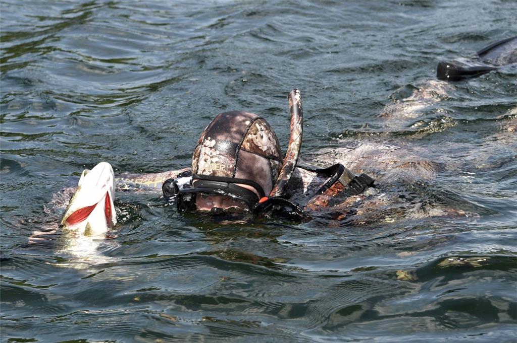 Wladimir Putin im Taucheranzug mit einem gefangenen Fisch während eines Kurzurla...
