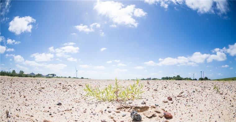 Es geht weiter: Wo der Offshore-Terminals längst gebaut werden sollte, passiert seit fast drei Jahren nichts. Im Januar kommenden Jahres will nun das Verwaltungsgericht entscheiden.