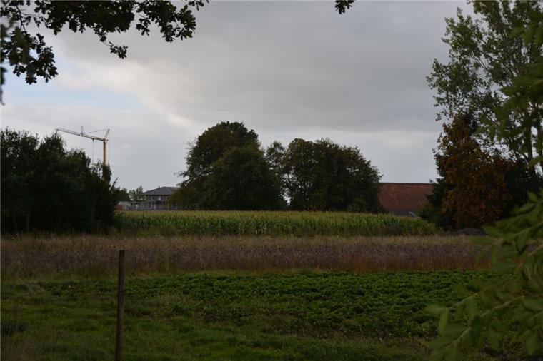 Wo derzeit noch das Grün sprießt, sollen schon bald Mehrfamilienhäuser entstehen.