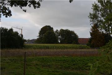 Wo derzeit noch das Grün sprießt, sollen schon bald Mehrfamilienhäuser entstehen.