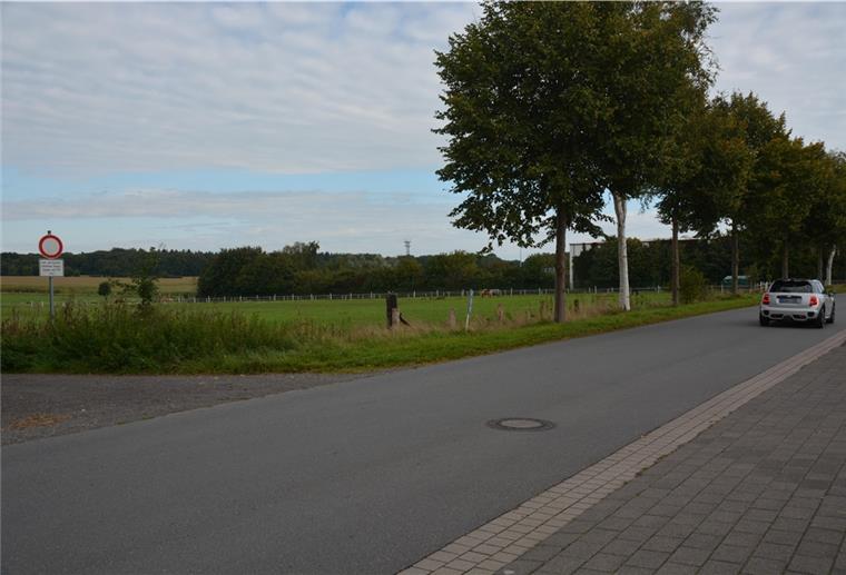 Wo derzeit noch Tiere weiden, sollen schon bald sechs Häuser entstehen. Der Schiffdorfer Gemeinderat hat für das neue Baugebiet "Am Kirchweg" in Wehden gestimmt.