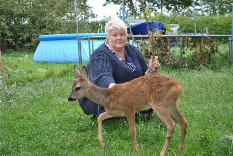Appelner Familie zieht ein Rehkitz auf Susanne Wohlers kümmert sich um das Rehkitz Kurti