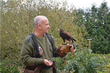 Wolfgang Müller und sein Wüstenbussard Raigan gehen mehrmals pro Woche auf die Jagd. Sie sind ein eingefleischtes Team.