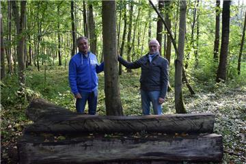Wolfgang Odenbach (links) und Jürgen Keup kümmern sich um den Stadtwald.