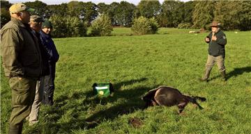 Wolfsberater Hermann Kück (rechts) begutachtete die getöteten Schafe auf der Weide in Albstedts Feldmark. Er vermutet einen Angriff des Wolfes.