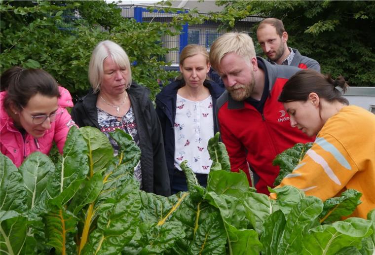 Achim: Wo Angestellte in der Mittagspause ackern Personen stehen vor einem Gemüsebeet.