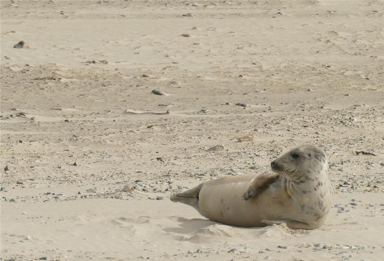 Yoga am Strand.
