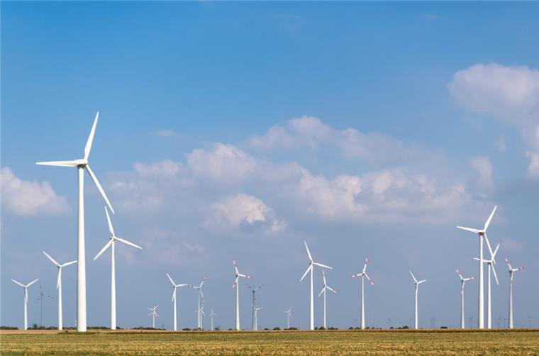 Nicht mehr als 45 Dezibel: Windkraft soll leiser werden Zahlreiche Windräder stehen auf einem Feld nebeneinander.