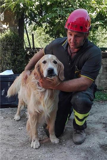 Zehn Tage nach dem verheerenden Erdbeben in Italien haben Rettungskräfte Golden Retriever Romeo gerettet.