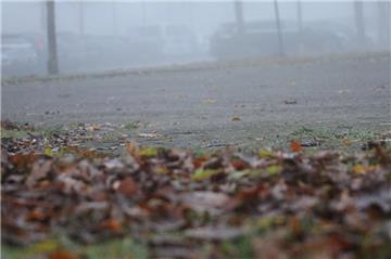 Zeitweise steuern mehr Fahrzeuge die KGS Tarmstedt an, als Plätze zur Verfügung stehen. Deshalb wünscht die Schule sich eine Erweiterung der Parkfläche um 20 Plätze im Bereich neben beziehungsweise hinter der Gymnastikhalle