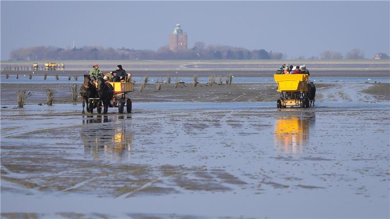 Ziel in Sicht: Am Horizont ist die Insel Neuerk zu erkennen.