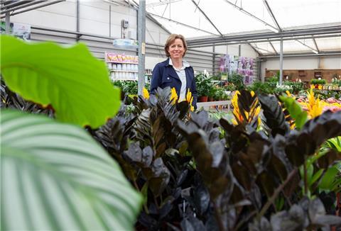 Zimmerpflanzen liegen seit Corona wieder im Trend, sagt Geschäftsführerin Svenja Wassenaar vom gleichnamigen Gartencenter.