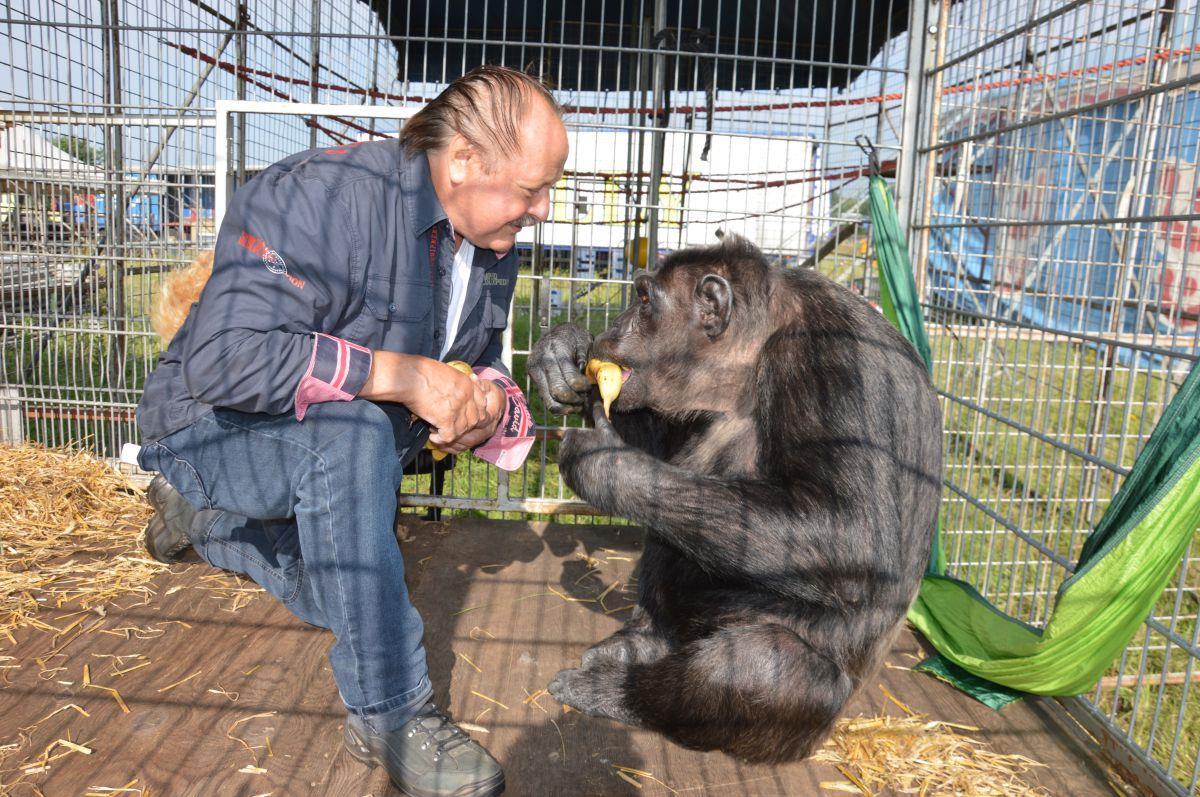 Zirkusdirektor Klaus Köhler darf den Schimpansen Robby weiterhin im Zirkus behalten.