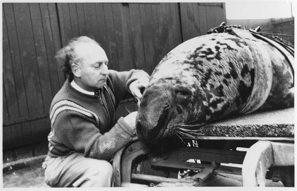 Zoodirektor Dr. Kurt Ehlers gemeinsam mit &quot;Hansi&quot; Foto: Zoo am Meer
