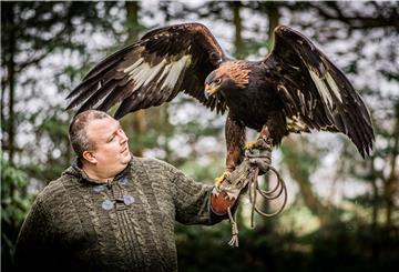 Ein Mann hält einen Adler auf der Hand. 