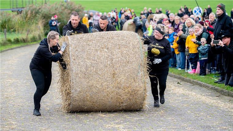 In Ostfriesland werden „Strohballen-Rollmeister“ gesucht Zu viert wird der rund 200 Kilogramm schwere Strohballen gerollt.