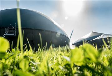 Ohne EEG-Zuschüsse: Landwirte vor schwieriger Entscheidung