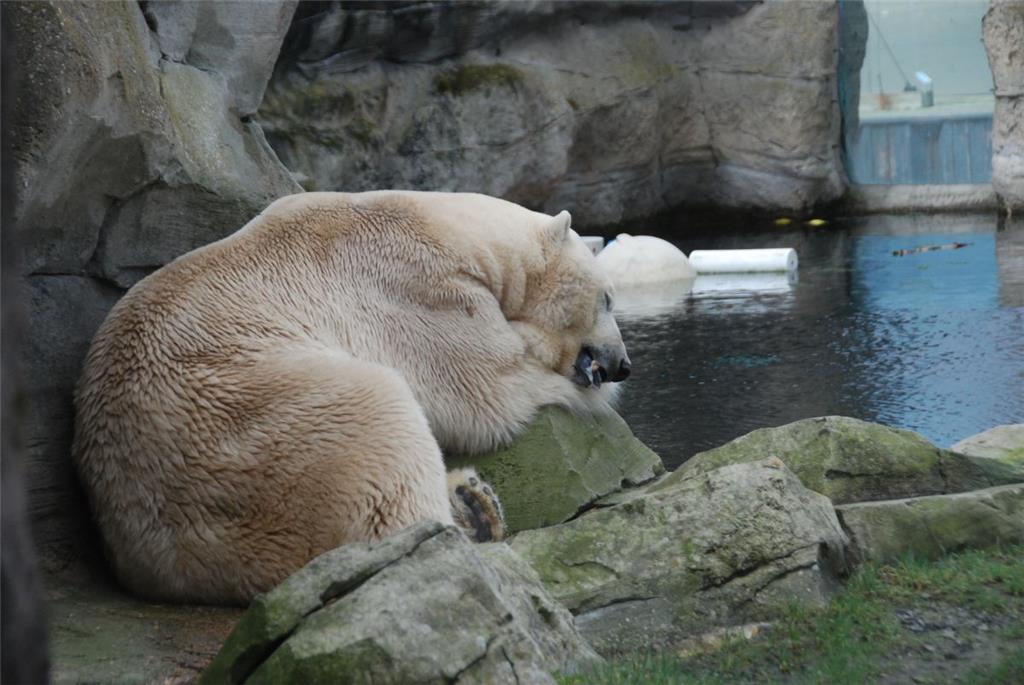 Zukunftstag: Impressionen aus dem Zoo am Meer - aufgenommen von den Nachwuchsrep...