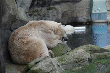 Zukunftstag: Impressionen aus dem Zoo am Meer - aufgenommen von den Nachwuchsrep...