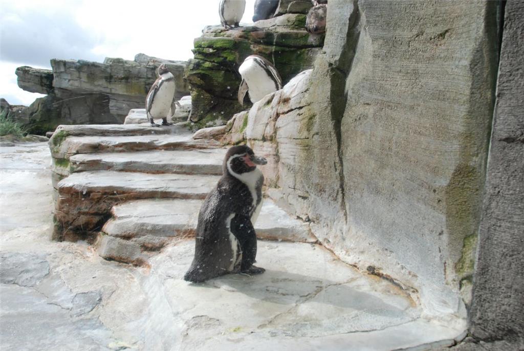 Zukunftstag: Impressionen aus dem Zoo am Meer - aufgenommen von den Nachwuchsrep...