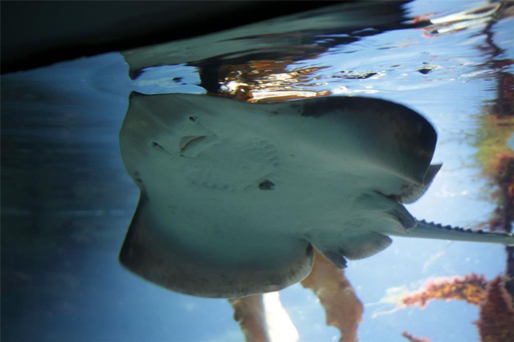 Zukunftstag: Impressionen aus dem Zoo am Meer - aufgenommen von den Nachwuchsrep...