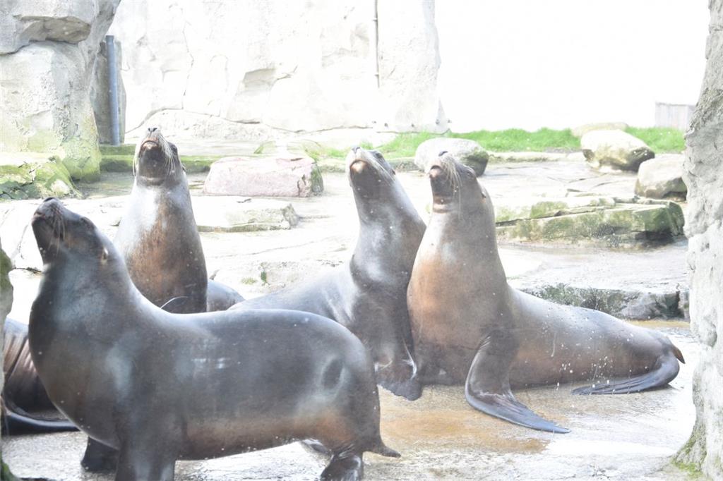 Zukunftstag: Impressionen aus dem Zoo am Meer - aufgenommen von den Nachwuchsrep...