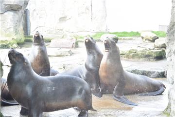 Zukunftstag: Impressionen aus dem Zoo am Meer - aufgenommen von den Nachwuchsrep...