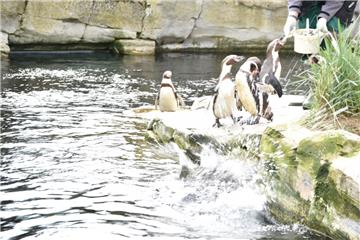 Zukunftstag: Impressionen aus dem Zoo am Meer - aufgenommen von den Nachwuchsrep...