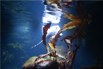 Zukunftstag: Impressionen aus dem Zoo am Meer - aufgenommen von den Nachwuchsrep...